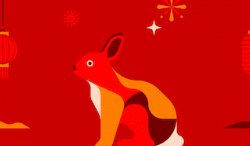 Year of the Rabbit